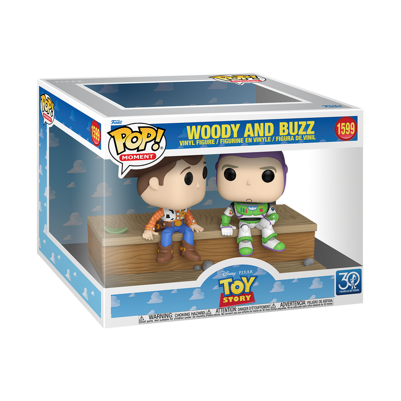Disney Pop! Toy Story 3oth anniversary  :  Woody and buzz #1599