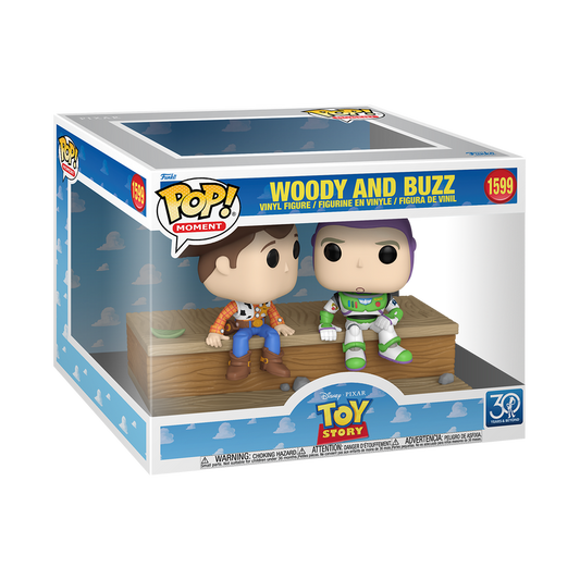 Disney Pop! Toy Story 3oth anniversary  :  Woody and buzz #1599
